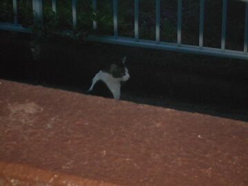 9月27日（5-14）仮