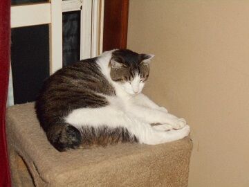 6月29日（115）仮