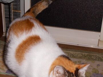 10月7日（22-6）仮