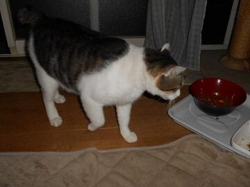 9月16日（21-2）仮