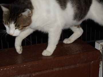 9月30日（22-5）仮