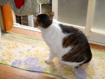 5月18日（77）仮