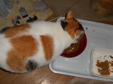 9月16日（20-2）仮