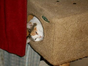 9月21日（22-2）仮