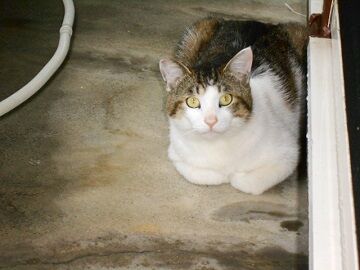 5月21日（15）仮