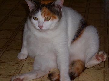 7月13日(4)