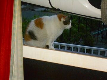 5月28日（66）仮