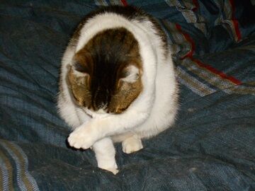 3月30日（20）仮