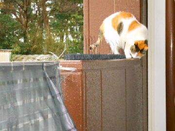 10月29日（7）仮