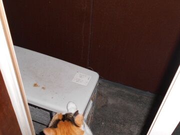 10月4日（22-12）仮