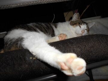 9月23日（7-2）仮