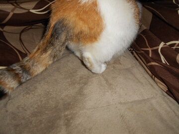 10月1日（19-3）仮