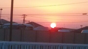 3月17日（27）仮