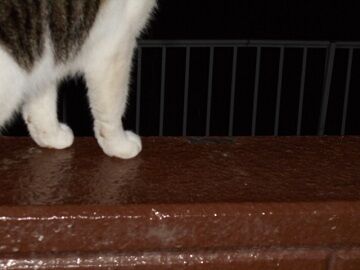 10月1日（18-12）仮