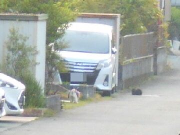 5月2日(3)仮
