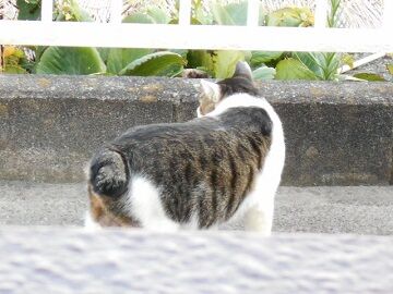 9月27日（14）仮