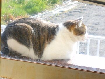 3月18日（27）仮