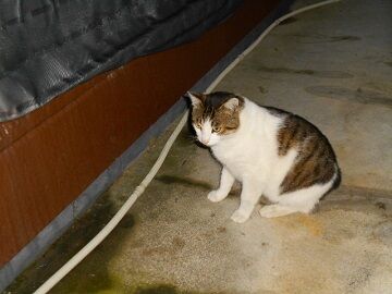 5月10日（69）仮