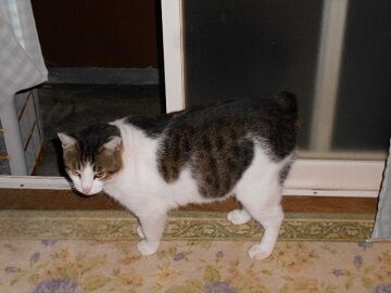 10月12日（5-3）仮