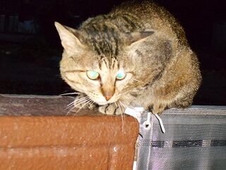 6月25日（47）仮