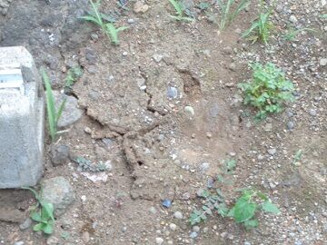 ショックやわぁ～・・・。 (4)