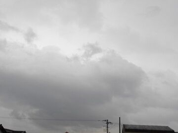 11月11日（22）仮