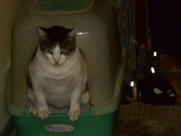 9月16日（9-2）仮