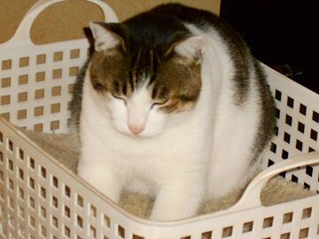 12月24日（34）仮