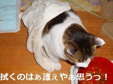 12月23日（4）仮