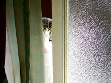 11月13日（7）仮