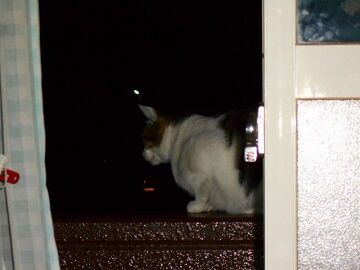 9月29日（20-8）仮