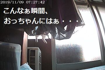 11月9日（17）仮