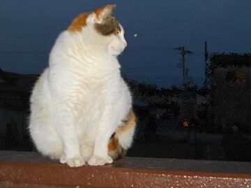 5月10日（57）仮