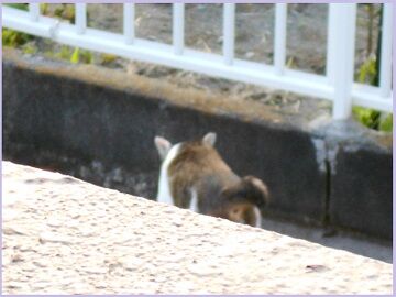 6月20日（26）仮