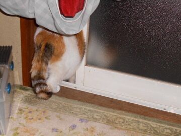 10月7日（22-20）仮