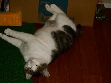 9月6日（8-2）仮