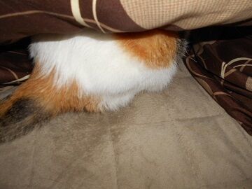 10月1日（19-2）仮