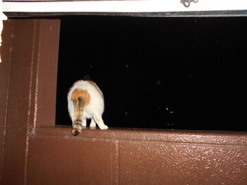 9月23日（22-16）仮