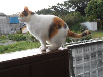 9月14日（6-14）仮