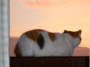 10月3日（18）仮