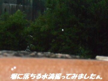 6月28日（11）仮