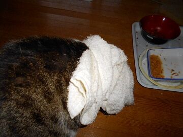 12月23日（7）仮