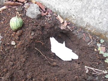 9月30日（10-6）仮