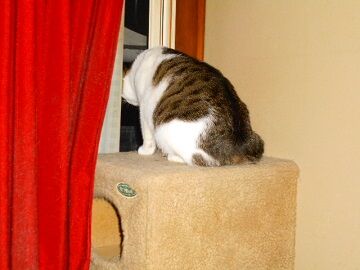 10月23日（82）仮