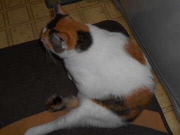 9月2日（23－1）仮