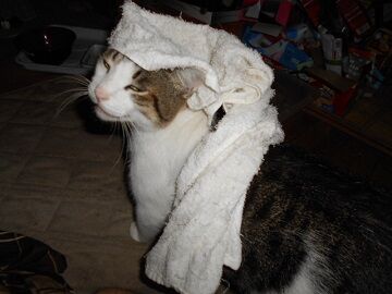 9月10日（19-1）仮