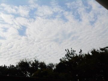 10月28日（8）仮