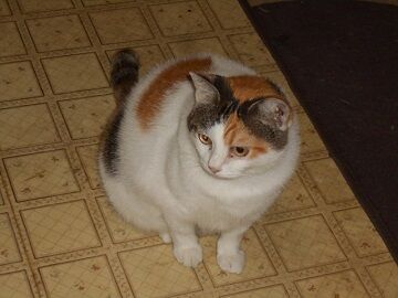 9月22日（18-3）仮