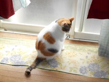 9月29日（10-4）仮