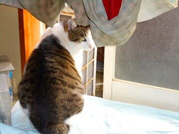 12月24日（13）仮